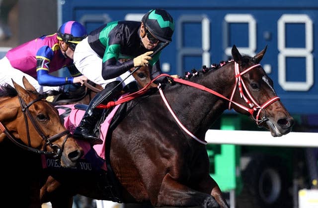 稀少新品】ラヴズオンリーユー マルシュロレーヌ 記念ブルゾン