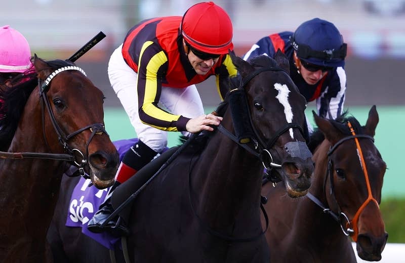 ソングライン（Songline） | 競馬データベース | JRA-VAN World - 海外