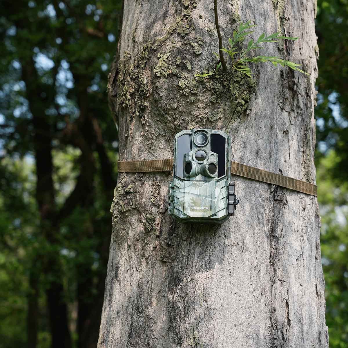 WOSPORTS G600 Trail Camera | Wildlife Camera with 4K Resolution