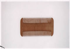 Vol.26 次代へ種を蒔く - 信州の文化財 - 公益財団法人 八十二文化財団