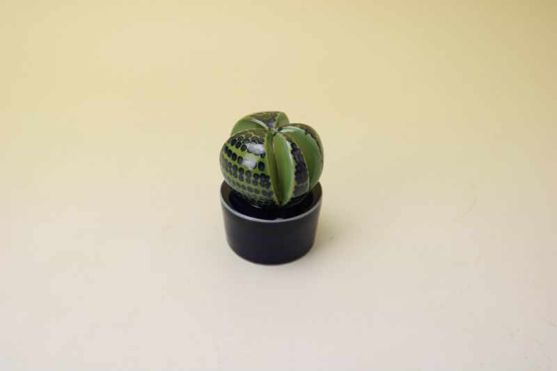 Rorstrand Kaktus Marianne Westman/マリアンヌ・ウエストマン