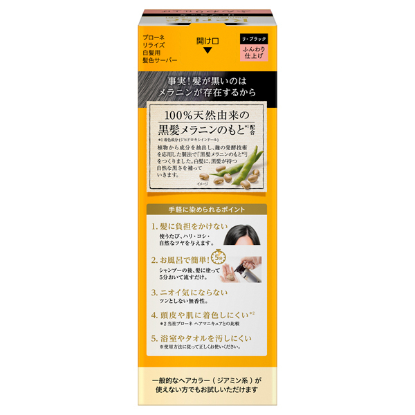 白髪用髪色サーバー リ・ブラック ふんわり仕上げ / ブローネ(白髪染め