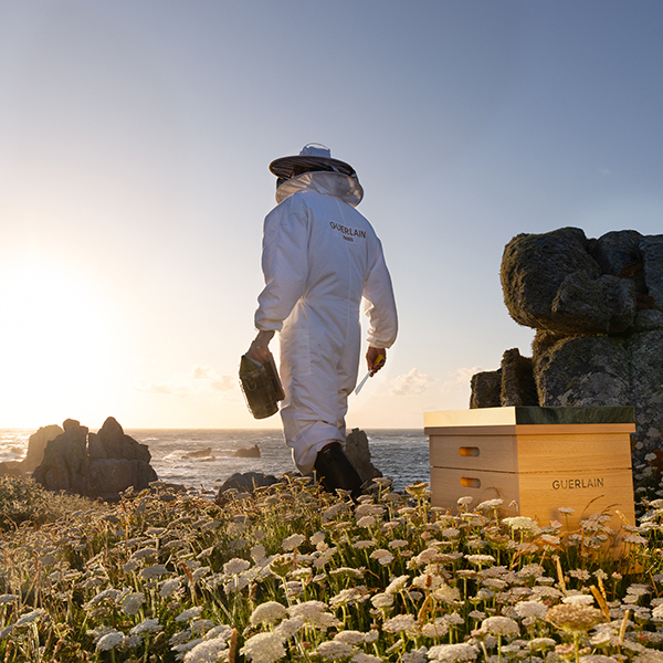 アベイユ ロイヤル オイル イン シカ バーム / ゲラン(フェイスオイル
