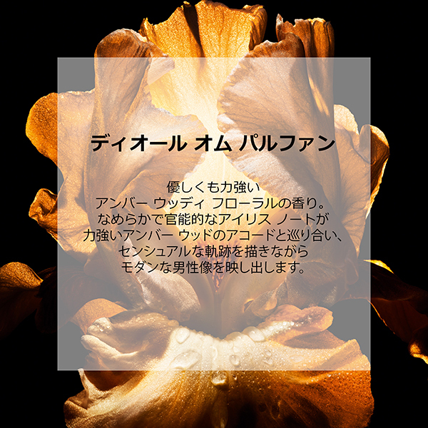 ディオール オム パルファン / ディオール(香水, 香水・ヘア