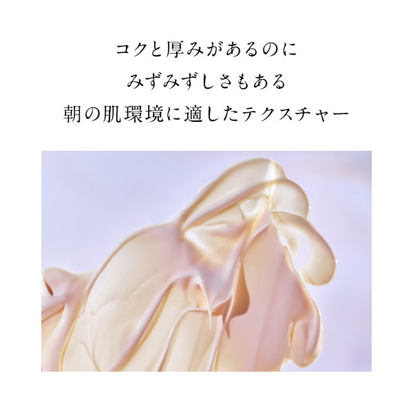 FAS ザ ブラック デイ クリーム / FAS(日焼け止めクリーム, 日焼け対策