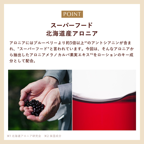 N organic Plenum スムーストリートメント ローション / N organic