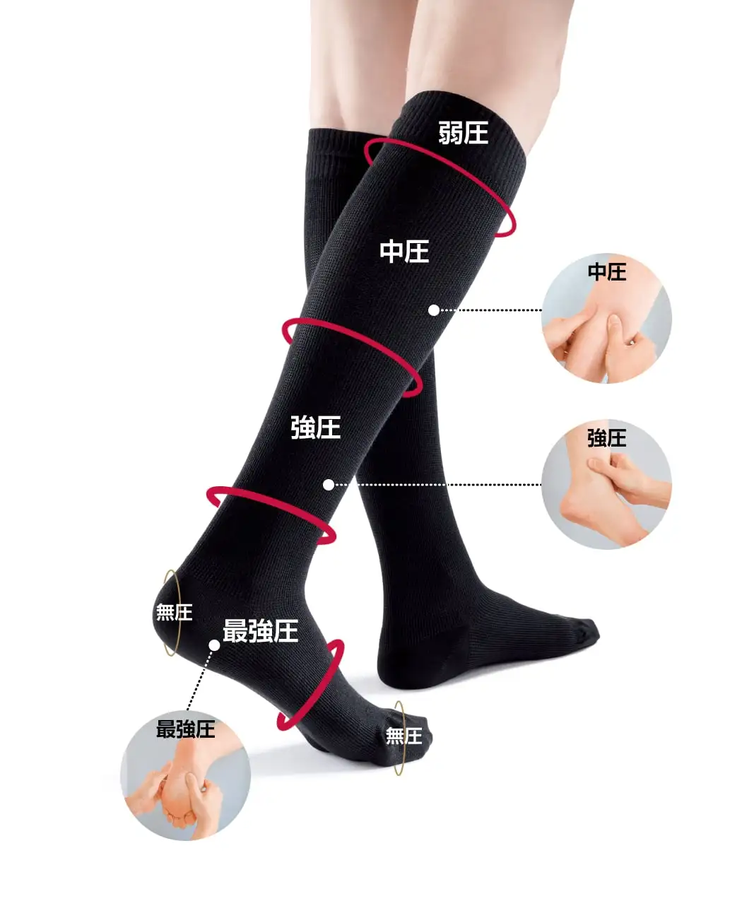 通販生活®ギロファJP・スタンダード｜【公式】カタログハウスの通販サイト