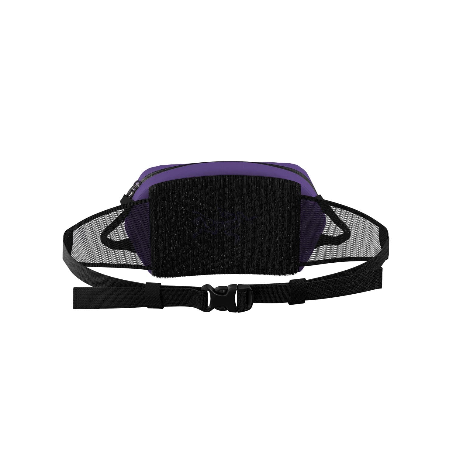 Arc'teryx Arro Waist Pack – Campmor