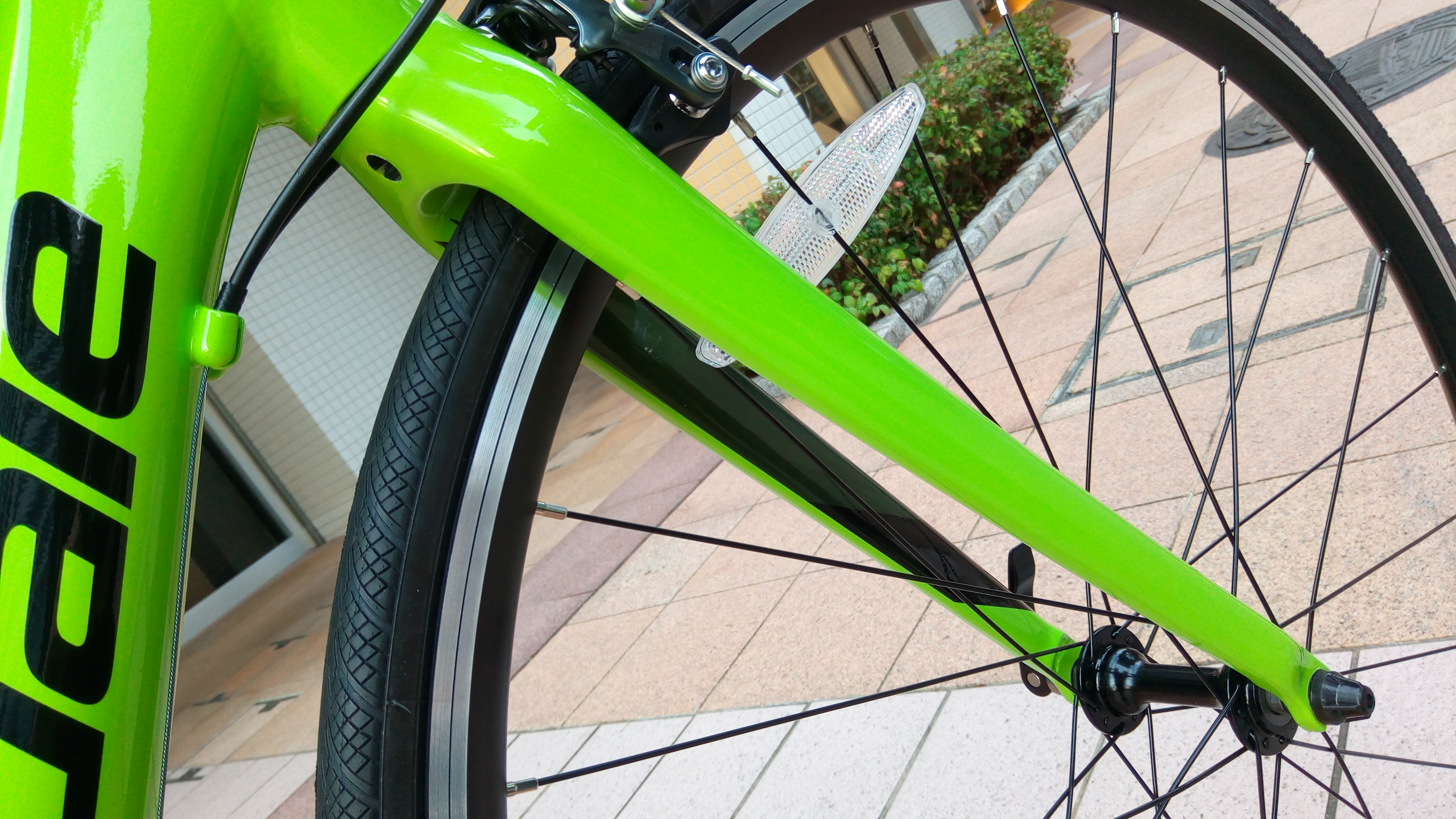 GREEN」のCAAD Optimo 店頭でご覧いただけます | キャノンデール横浜