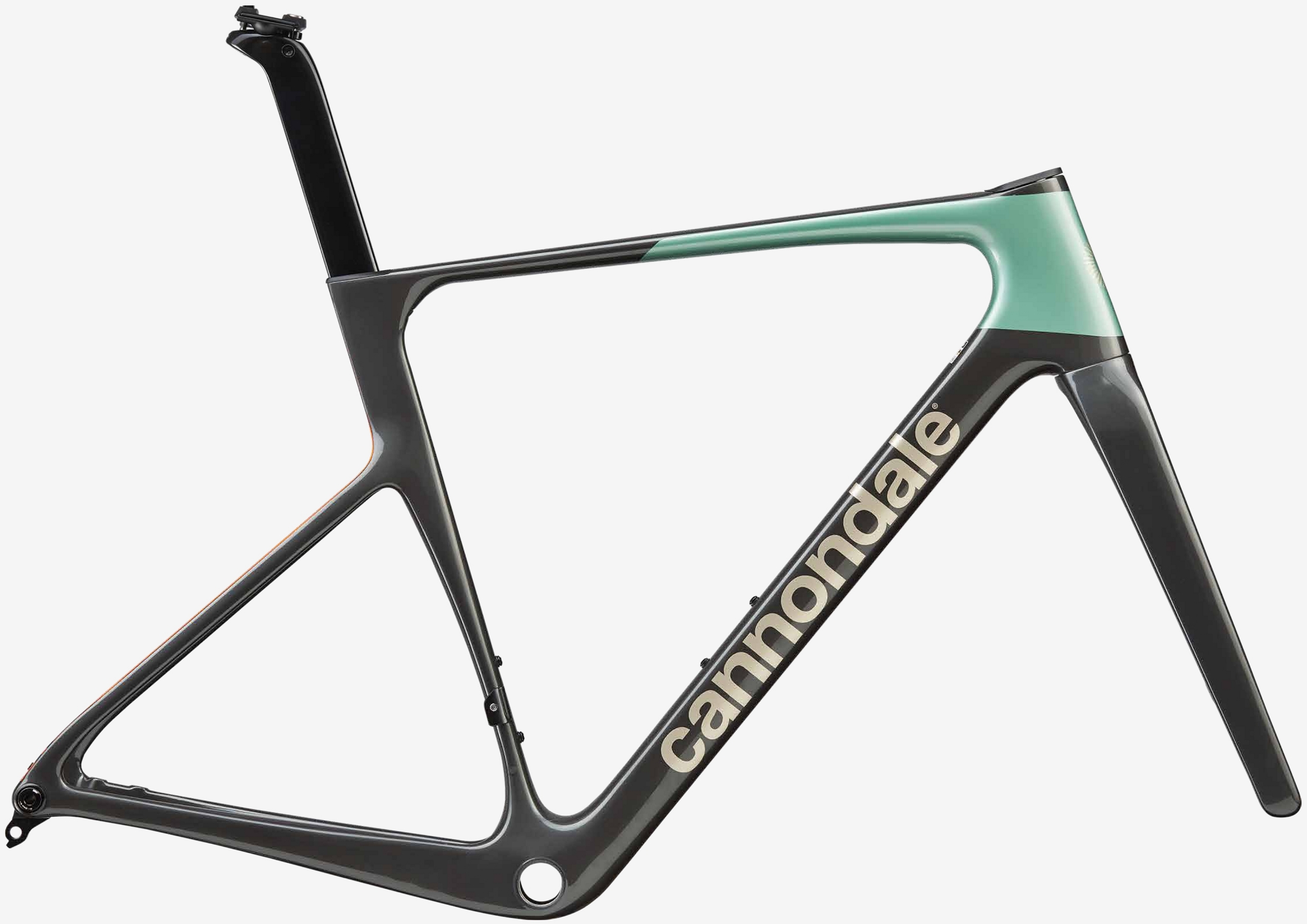 新着一覧 | キャノンデール横浜