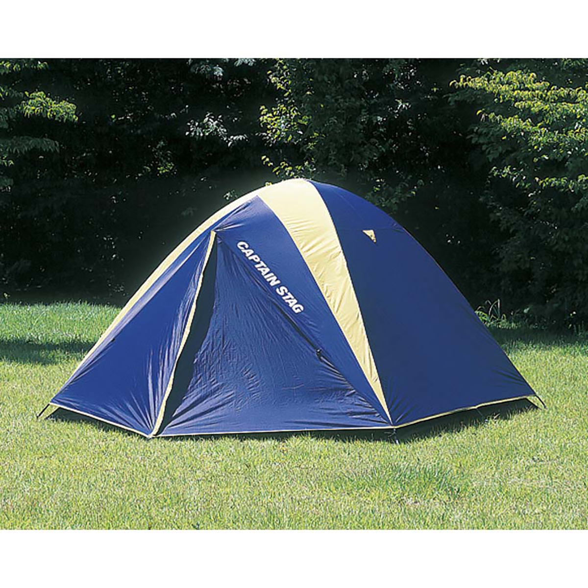 レニアスドームテント〈5~6人用〉(キャリーバッグ付) - アウトドア