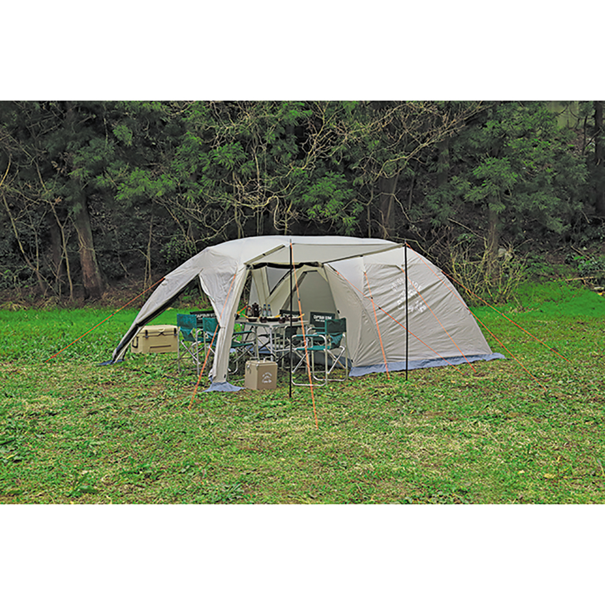 Coleman SOUTHFIELD ACT CAPTAINSTAG まとめ売り 【公式通販】