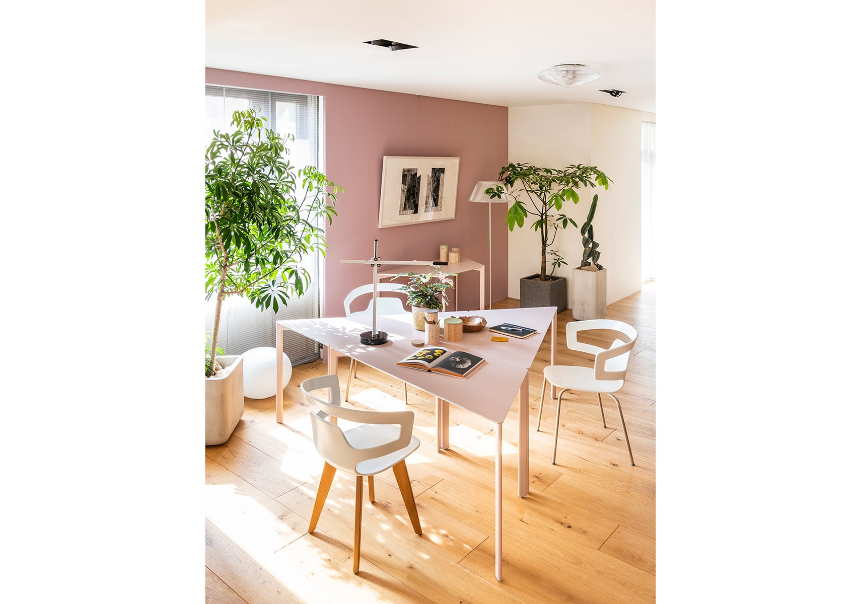 Alias（アリアス）SEGESTA WOODセジェスタ ウッド アームチェア