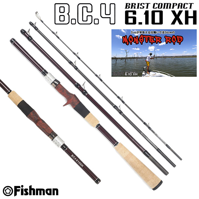 フィッシュマン(Fishman) ブリストコンパクト(BRIST COMPACT) BC4 6.10
