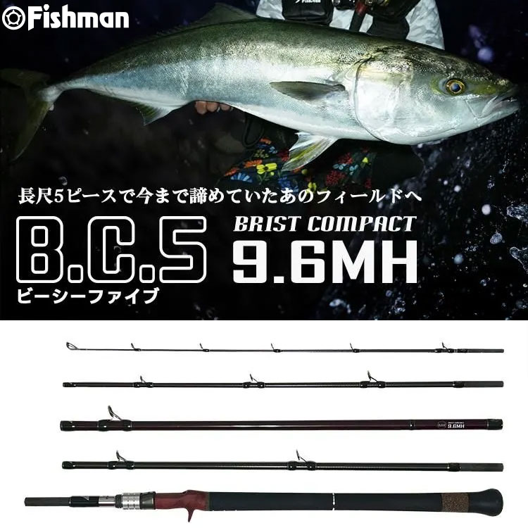 アブガルシア(Abu Garcia) ソルティーステージプロトタイプ ベイト