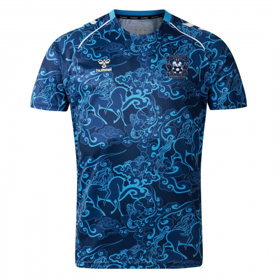 Coventry City Adult 24/25 Training Shirt