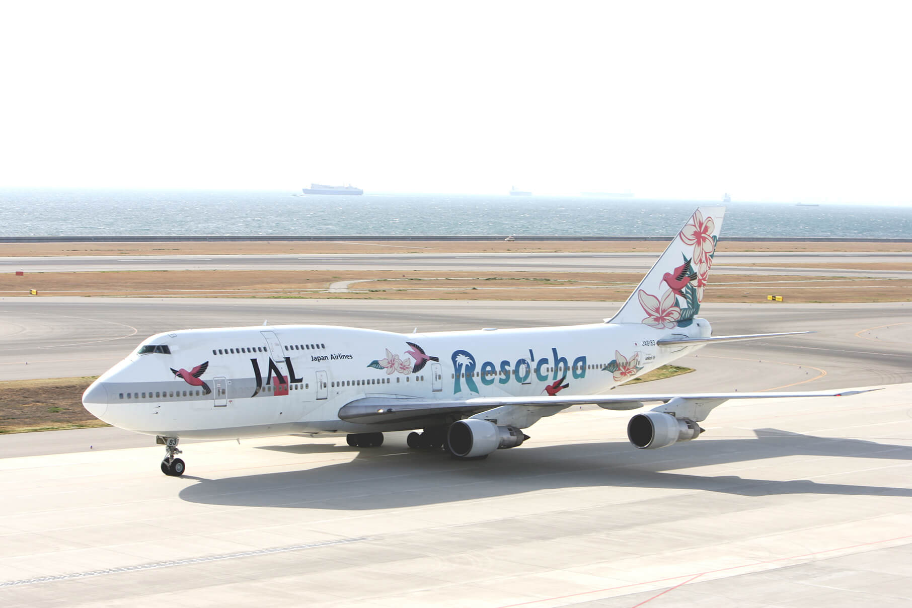 20年を彩る機体｜開港20周年「夢見るハタチ セントレア」｜中部国際