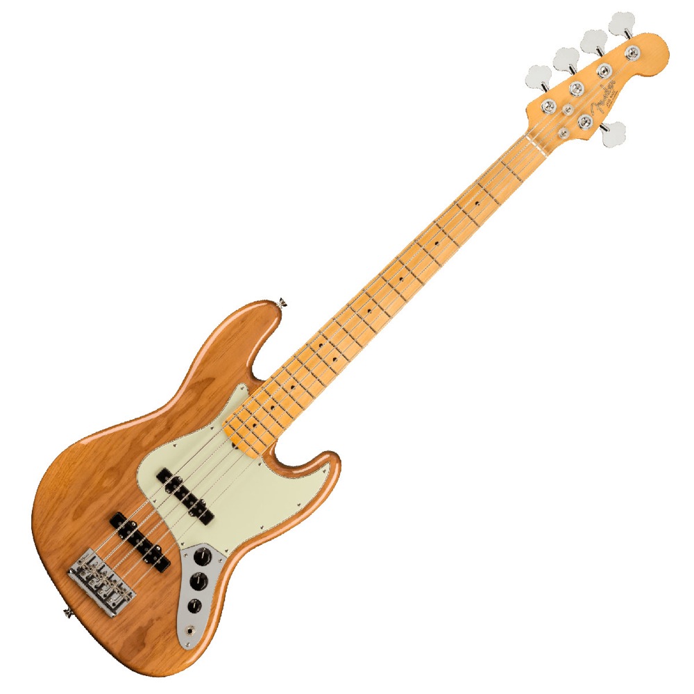 フェンダー Fender American Professional II Jazz Bass V MN RST PINE