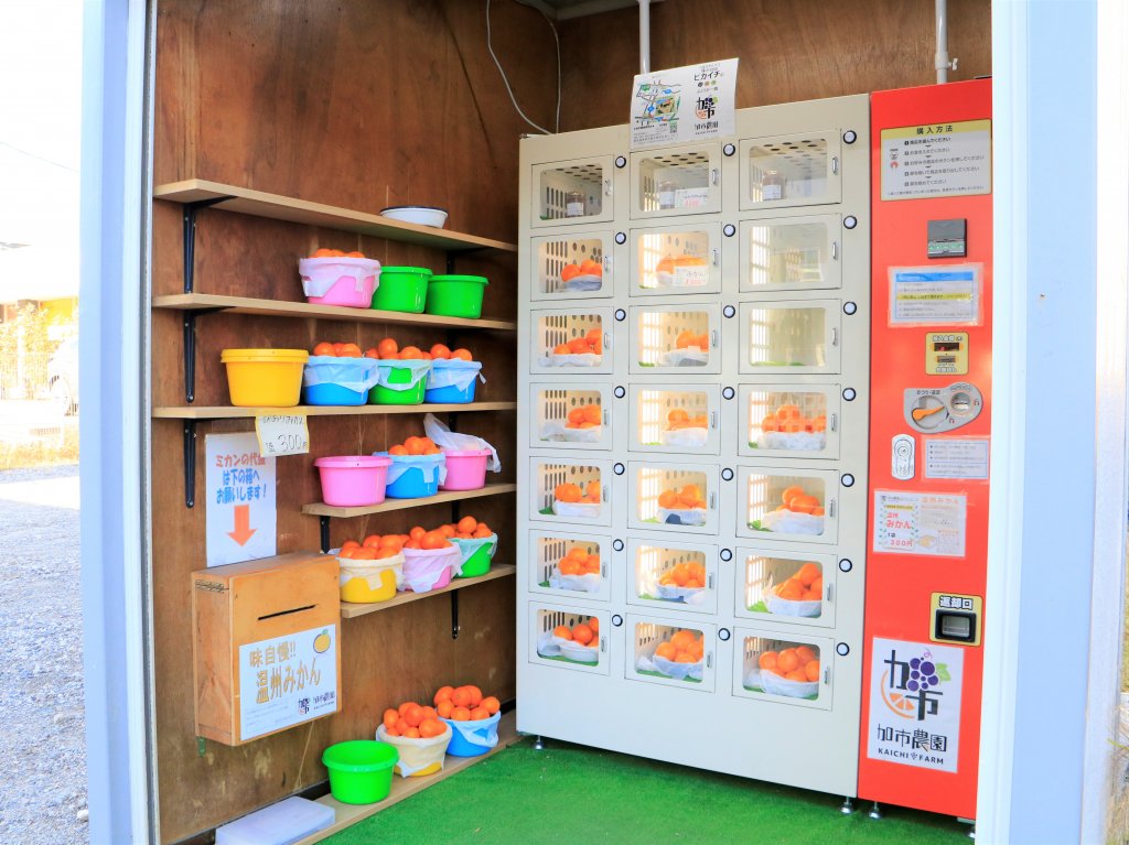 冬の定番フルーツが買える自販機を発見【おもしろ自販機#6】-記事-ち