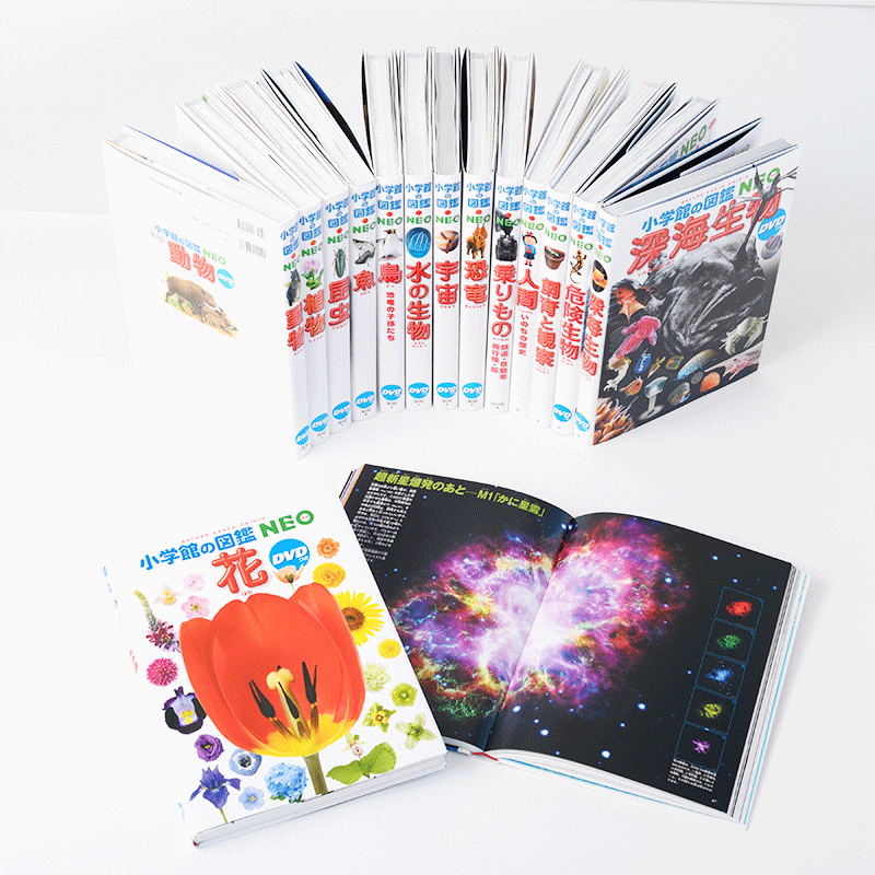 小学館の図鑑NEO 深海生物 DVDつき／藤原義弘｜絵本のギフト通販
