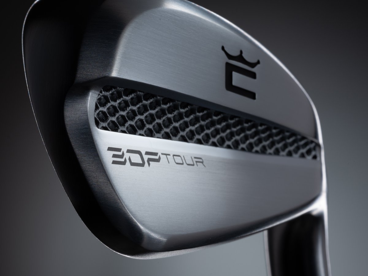 専用】Cobra 3DP TOUR 6-PW SteelFib Cobra 3DP Tour - 6 irons (custom)