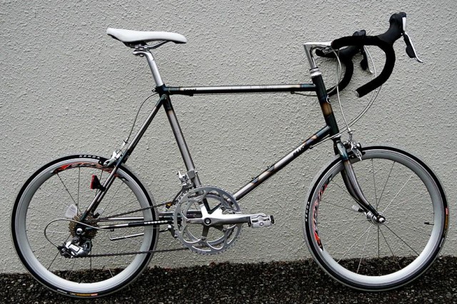 ビリオンのライオネル シルバー｜買取情報のサイパラ