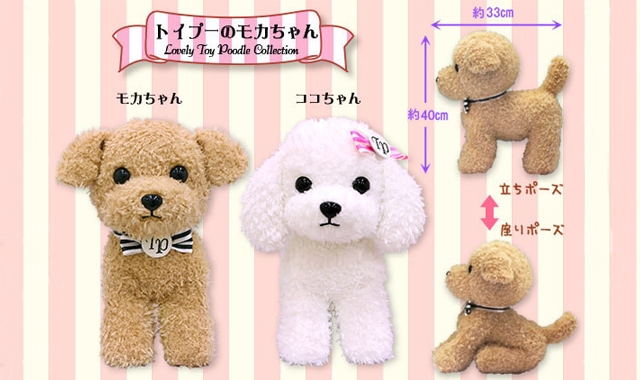 ミルク色のトイプードルちゃん毛糸のお帽子&ストールおめかしstyle