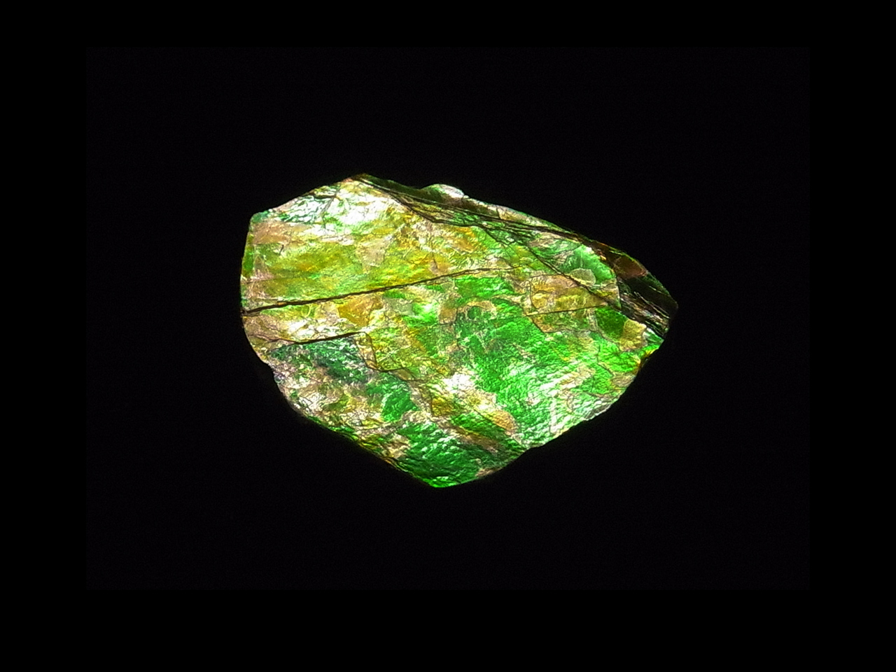 アンモライト無垢破片 ジュエリー宝石販売ルーム