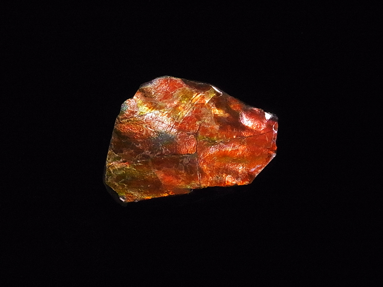 アンモライト無垢破片 ジュエリー宝石販売ルーム