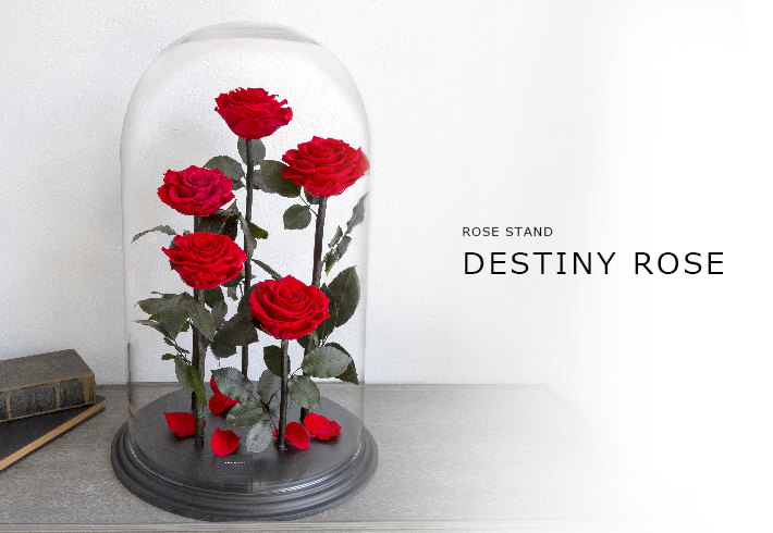 DESTINY ROSE（デスティニーローズ） | 最高級プリザーブドフラワーの