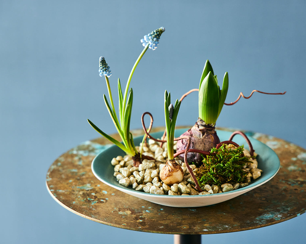 季節を愉しむ｜球根花を飾りたくなるアイデア、集めました | 青山