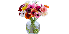 華やかでみずみずしいダマスクローズの香り Original Eau de toilette