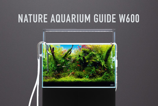 メタルパイプ・フロー」シリーズ 発売のお知らせ | ADA - NEWS RELEASE