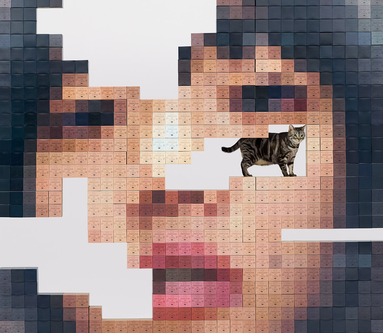 5th Album「猫にジェラシー」｜あいみょん OFFICIAL SITE