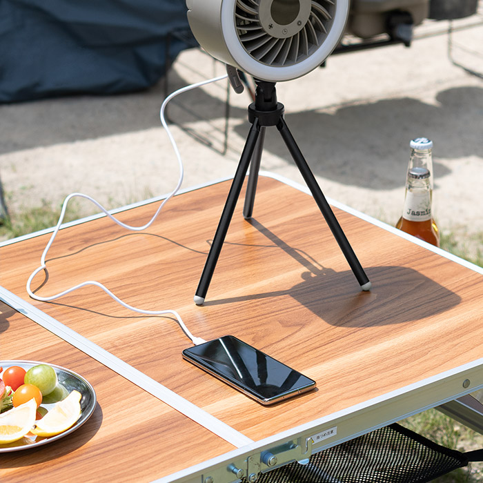 LEDライト付きポータブルファン | 家具・インテリア通販 【公式