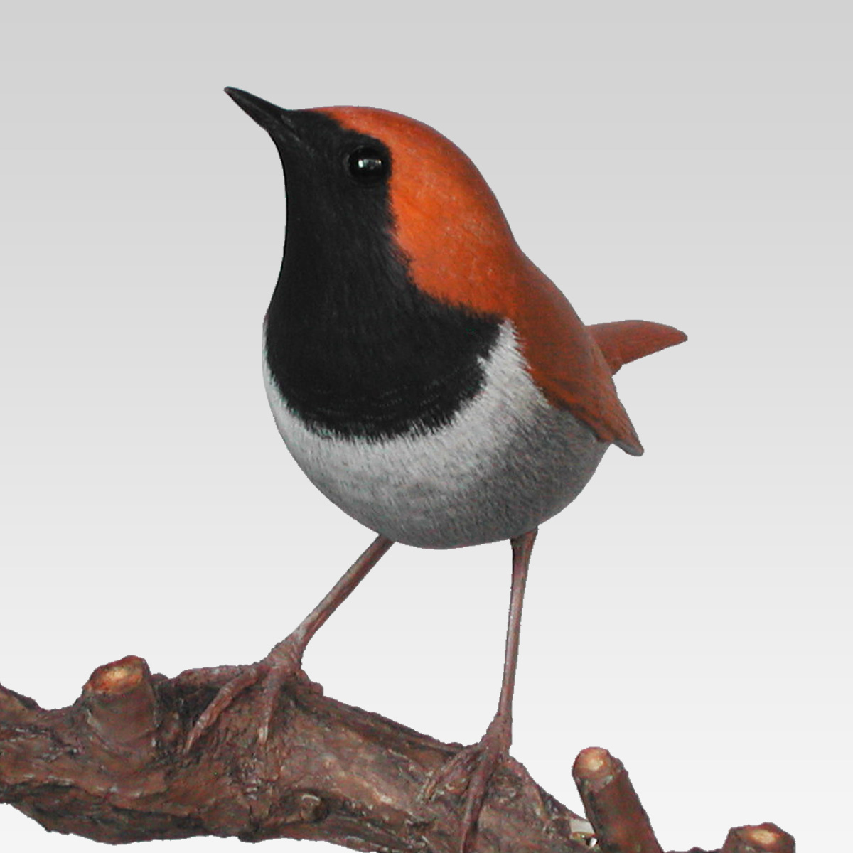 ホントウアカヒゲ - 鳥 フィギュア / あかひげ工房