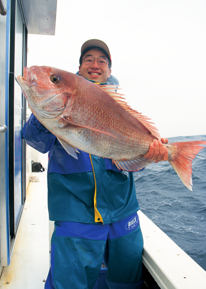 MPGの歴史 | alphatackle