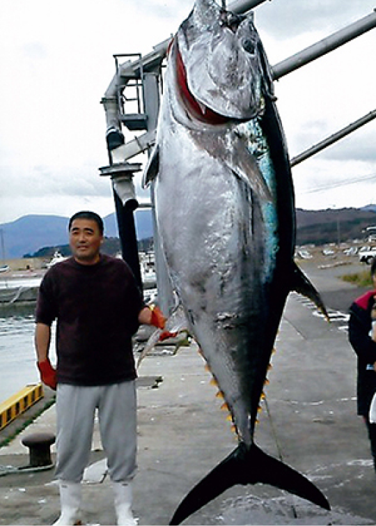 アルファタックル ヘッドクォーター ザ カイザー THE KAISER大物釣り