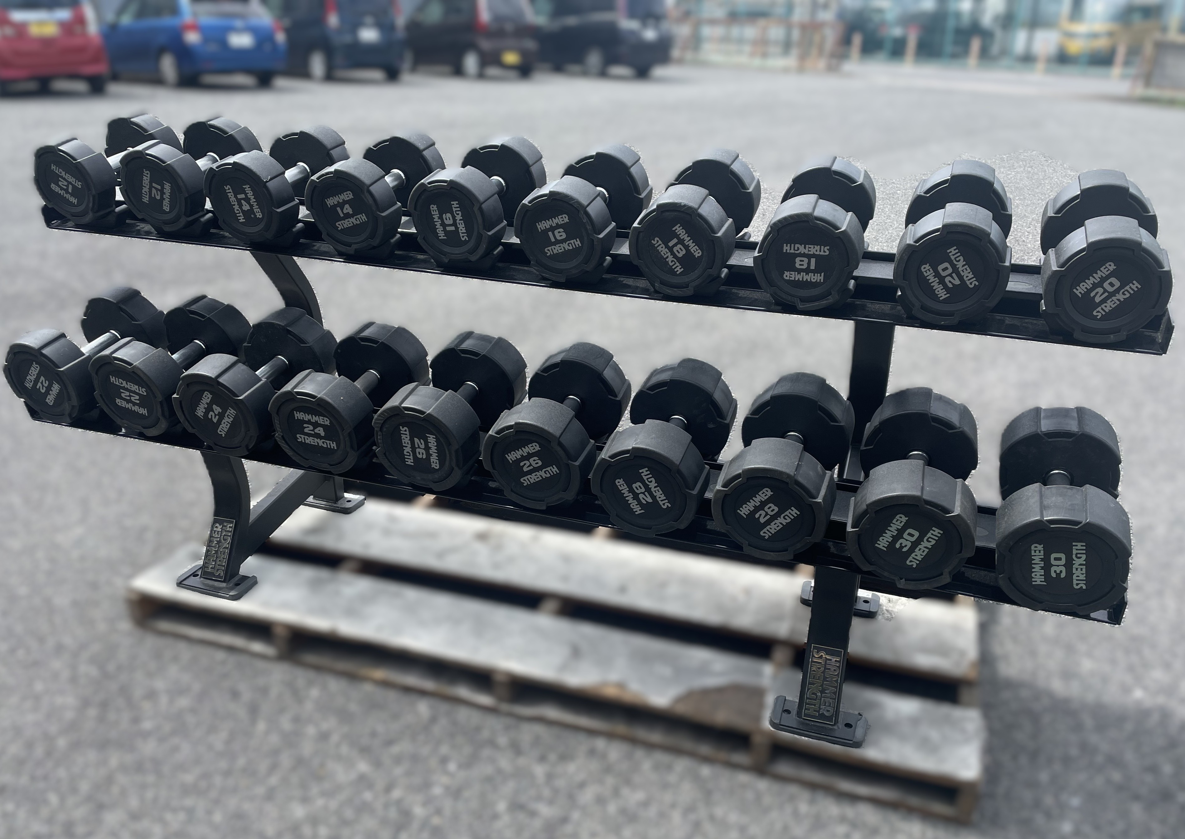 ハンマーストレングス ダンベル12〜30kg➕ラック➕マットset ハンマー