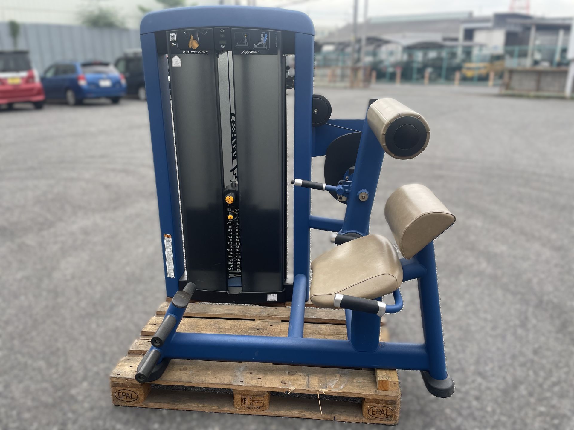 INSIGNIA バックエクステンション アポワフィットネス｜商品詳細