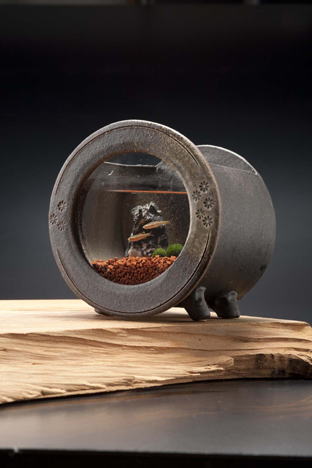 信楽焼の陶器水槽（メダカとマリモつき）送料無料！初心者にも安心の