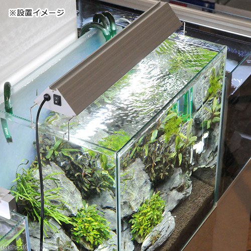 逆さ毛鉤】Aquilo LED トライアングル ブライト 60cm 逆さ毛鉤様専用