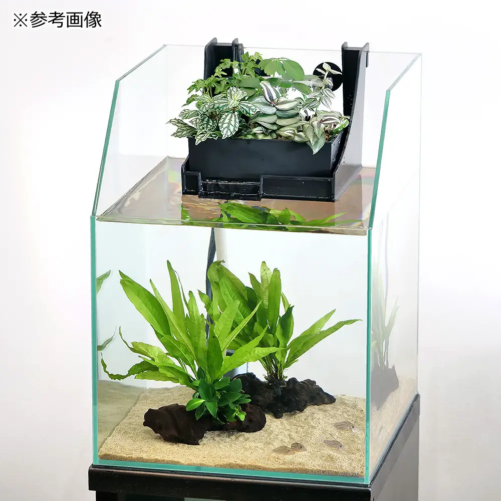 アクアポニックスを始めよう！ | AQUALASSIC