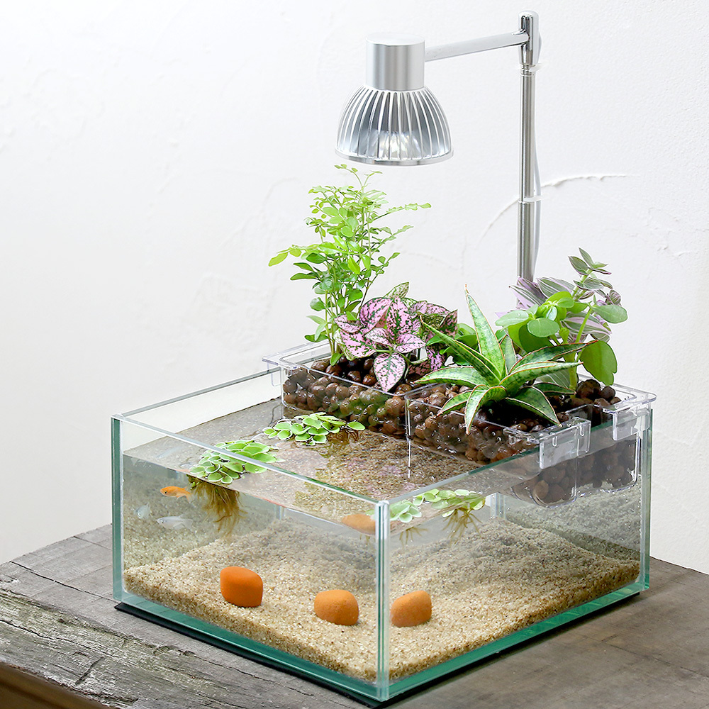 アクアポニックスを始めよう！ | AQUALASSIC