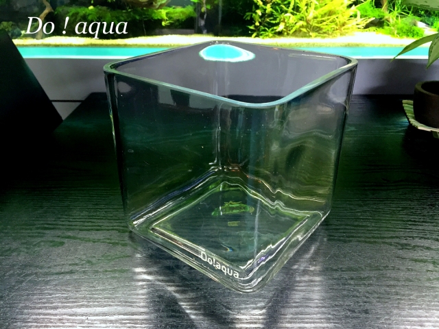 Do! aqua プラントグラス・キューブ 入荷 | アクアレビュー｜ADA正規