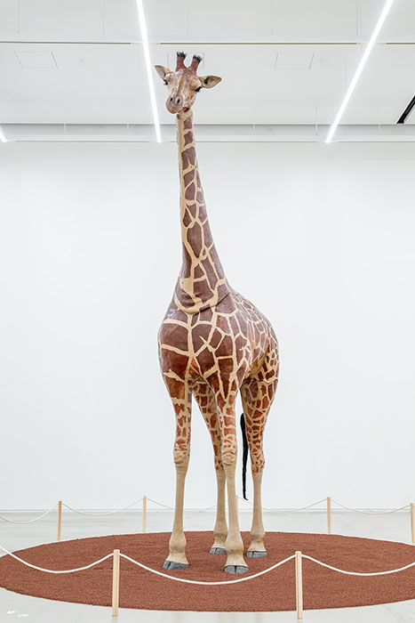 どうぶつ展 わたしたちはだれ? どこへむかうの? ～WHO ARE WE? WHERE