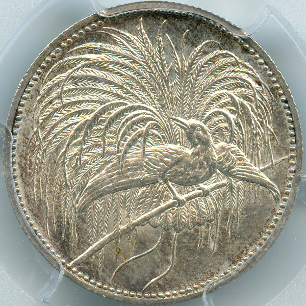 独領ニューギニア 極楽鳥 1894A 1マルク 銀貨 PCGS MS62 | ARK NUMISMATICS