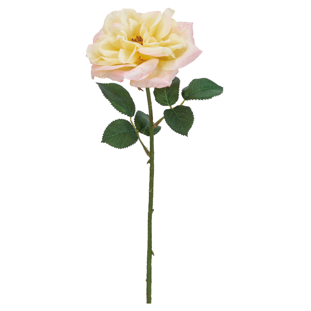 ローズ｜商品案内｜株式会社アスカ商会