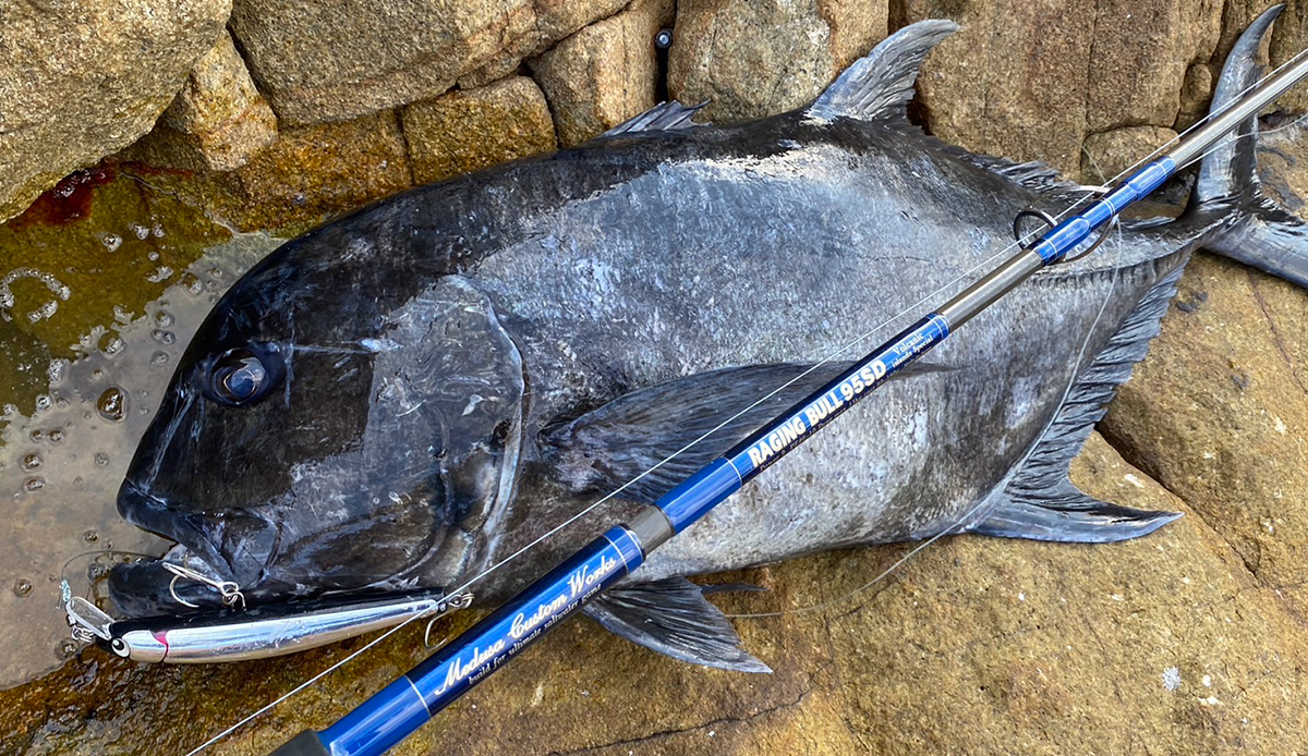 ごんた | Atoll アトール