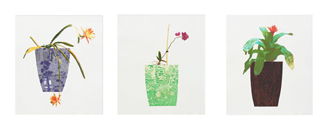 JONASWOOD_large.jpg?v=1613759943